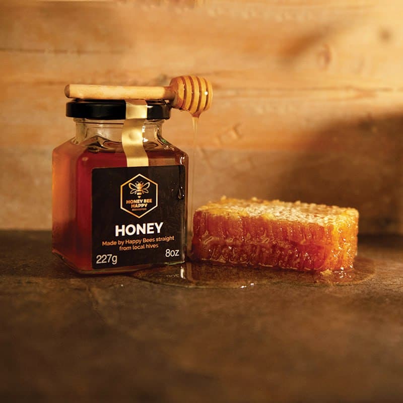 Honey Bee Happy